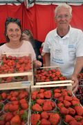 Sagra della fragola. Le foto del primo fine settimana e i prossimi appuntamenti 8