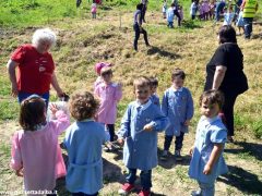 Dietro al Salone di Vezza nascerà un bosco, grazie ai bimbi e alla Regione 6