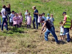 Dietro al Salone di Vezza nascerà un bosco, grazie ai bimbi e alla Regione 8