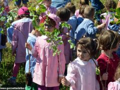 Dietro al Salone di Vezza nascerà un bosco, grazie ai bimbi e alla Regione 16