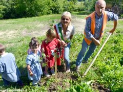 Dietro al Salone di Vezza nascerà un bosco, grazie ai bimbi e alla Regione 18