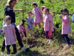 Dietro al Salone di Vezza nascerà un bosco, grazie ai bimbi e alla Regione 2