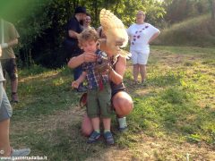 Un giorno per imparare a fotografare i rapaci con i Falconieri dei 4 venti 4