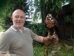 Un giorno per imparare a fotografare i rapaci con i Falconieri dei 4 venti 6