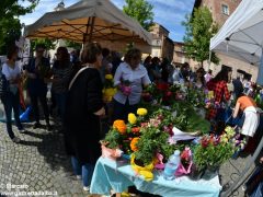 Macramè celebra la solidarietà tra i popoli. Tutte le foto della festa