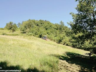 Le associazioni fondiarie per rilanciare l'agricoltura nelle aree montane