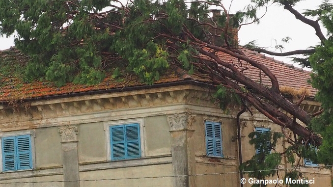 Ceresole: raffiche di vento e grandine causano ingenti dannia colture e abitazioni