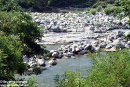 Caldo: anche il Tanaro è in secca