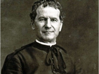 Rubata a Colle Don Bosco l'urna contenente il cervello del Santo