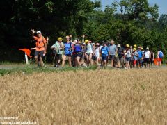 Centinaia di devoti di fratel Luigi Bordino 10