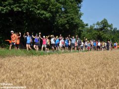 Centinaia di devoti di fratel Luigi Bordino 12