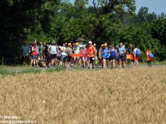 Centinaia di devoti di fratel Luigi Bordino 9