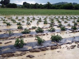 Il temporale causa danni nel Roero