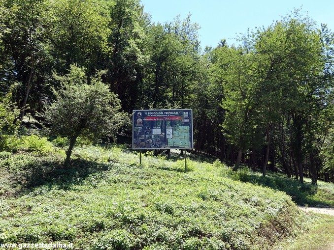 Là dove il tartufo si impara. Si inaugura, a Vezza, la tartufaia didattica 1