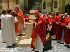 Duecento anni della ricostituzione della Diocesi: l’omelia di mons. Nosiglia 10