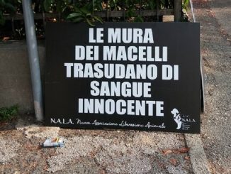 Protesta degli animalisti davanti al macello di Bra: le foto e i video della giornat