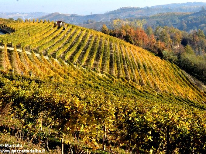 Auguri di un buon autunno a tutti i lettori di Gazzetta d'Alba 1