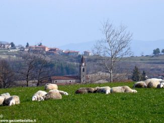 Coldiretti: «Tutelare gli allevamenti delle razze ovine in via di estinzione»