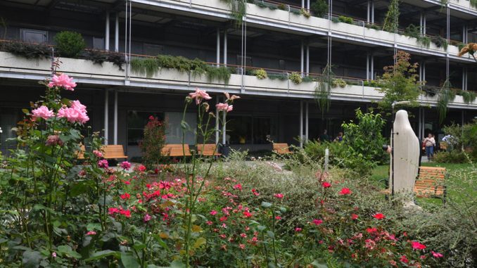 Inaugurati all'Ottolenghi di Alba un nuovo giardino verticale e sollevatori per gli ospiti 8