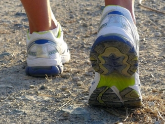 Oggi si corre a Vaccheria con gli Alpini e gli Avisini