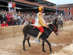 Tutte le foto più belle del Palio degli asini, vinto dal borgo dei Brichet 5