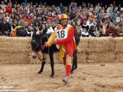 Tutte le foto più belle del Palio degli asini, vinto dal borgo dei Brichet 15