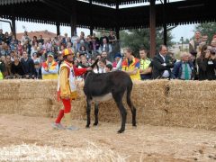 Tutte le foto più belle del Palio degli asini, vinto dal borgo dei Brichet 16