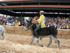 Tutte le foto più belle del Palio degli asini, vinto dal borgo dei Brichet 18