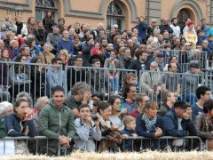 Tutte le foto più belle del Palio degli asini, vinto dal borgo dei Brichet 19