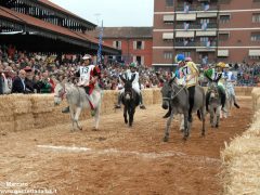 Tutte le foto più belle del Palio degli asini, vinto dal borgo dei Brichet 21