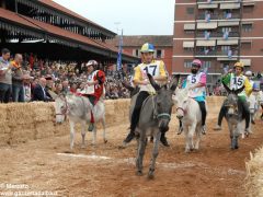 Tutte le foto più belle del Palio degli asini, vinto dal borgo dei Brichet 22