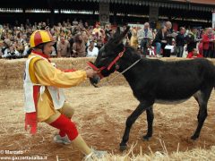 Tutte le foto più belle del Palio degli asini, vinto dal borgo dei Brichet 6