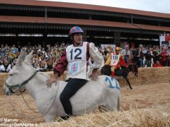 Tutte le foto più belle del Palio degli asini, vinto dal borgo dei Brichet 24