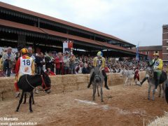 Tutte le foto più belle del Palio degli asini, vinto dal borgo dei Brichet 25