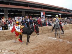 Tutte le foto più belle del Palio degli asini, vinto dal borgo dei Brichet 26