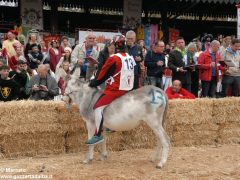 Tutte le foto più belle del Palio degli asini, vinto dal borgo dei Brichet 28