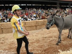 Tutte le foto più belle del Palio degli asini, vinto dal borgo dei Brichet 29