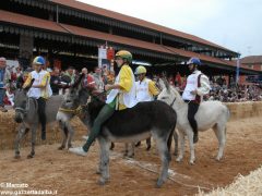 Tutte le foto più belle del Palio degli asini, vinto dal borgo dei Brichet 32