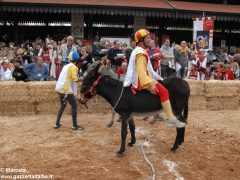 Tutte le foto più belle del Palio degli asini, vinto dal borgo dei Brichet 34