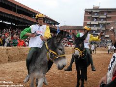 Tutte le foto più belle del Palio degli asini, vinto dal borgo dei Brichet 36