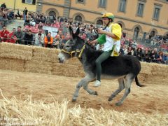 Tutte le foto più belle del Palio degli asini, vinto dal borgo dei Brichet 37