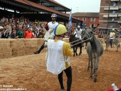 Tutte le foto più belle del Palio degli asini, vinto dal borgo dei Brichet 38