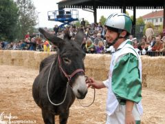 Tutte le foto più belle del Palio degli asini, vinto dal borgo dei Brichet 39