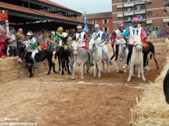 Tutte le foto più belle del Palio degli asini, vinto dal borgo dei Brichet 45