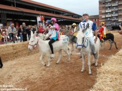 Tutte le foto più belle del Palio degli asini, vinto dal borgo dei Brichet 46