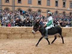 Tutte le foto più belle del Palio degli asini, vinto dal borgo dei Brichet 47