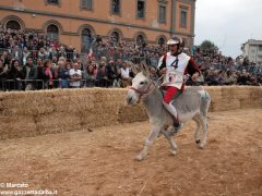 Tutte le foto più belle del Palio degli asini, vinto dal borgo dei Brichet 48