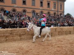 Tutte le foto più belle del Palio degli asini, vinto dal borgo dei Brichet 49