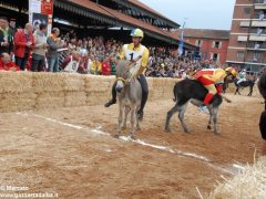 Tutte le foto più belle del Palio degli asini, vinto dal borgo dei Brichet 50