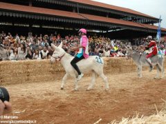 Tutte le foto più belle del Palio degli asini, vinto dal borgo dei Brichet 51